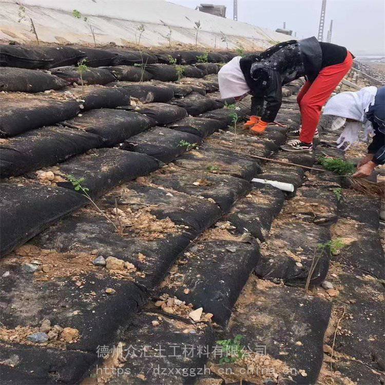 生态袋河道治理抗紫外线植生袋山体复绿植生袋可定制