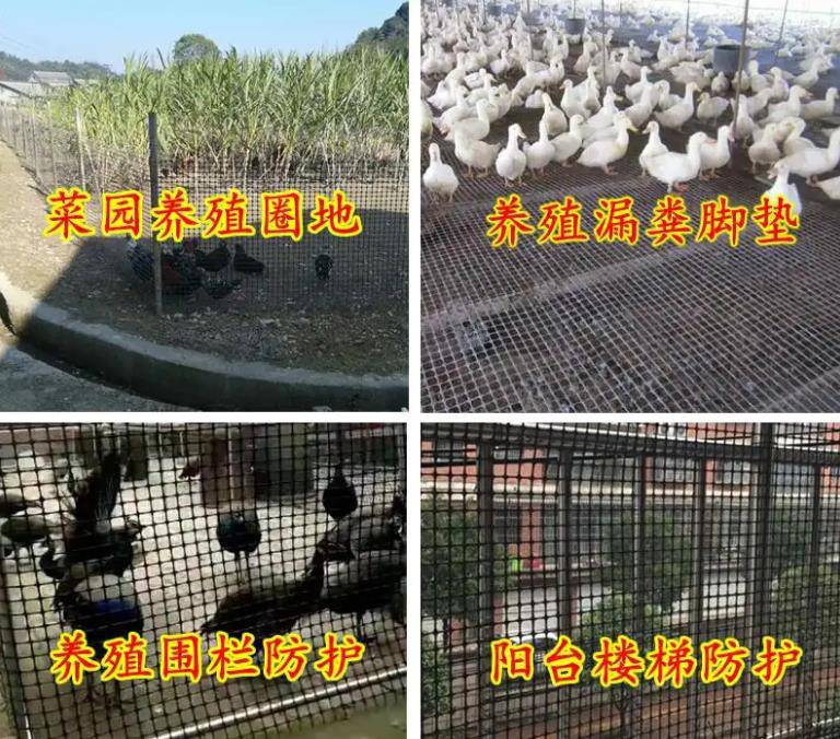 禄丰县养殖网-塑料养殖网-养殖养鱼网