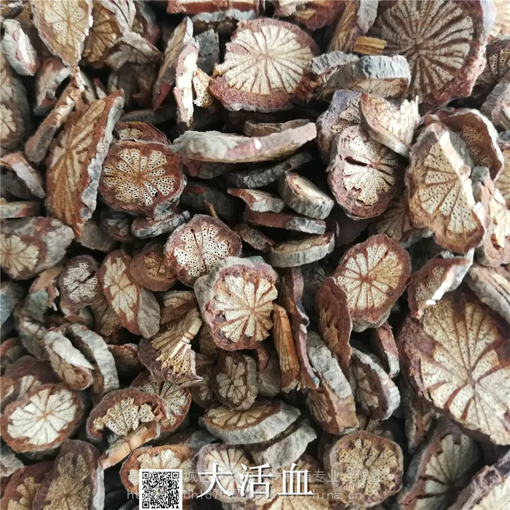 中药材血藤功效与作用小血藤红藤血通大黄省藤红血藤血木通五花血藤血