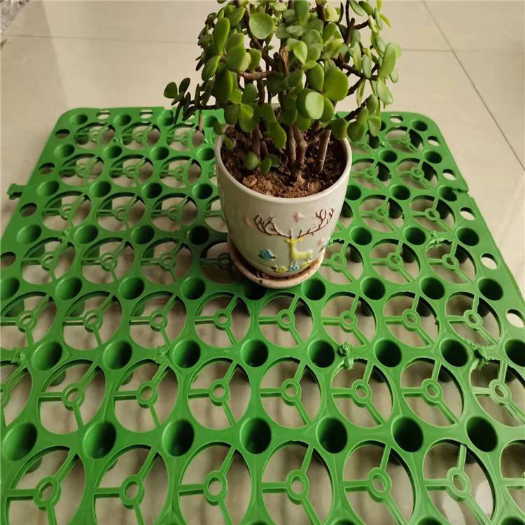 欢迎访问(丰镇蓄排水板厂家)丰镇蓄水池滤水板集团