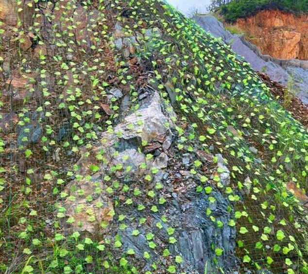 云南省文山州树叶网绿叶网-山体覆盖树叶网