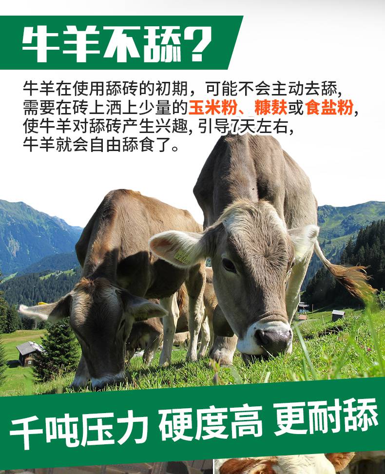 临沂碳酸钠临沂纯碱工业纯碱实力雄厚