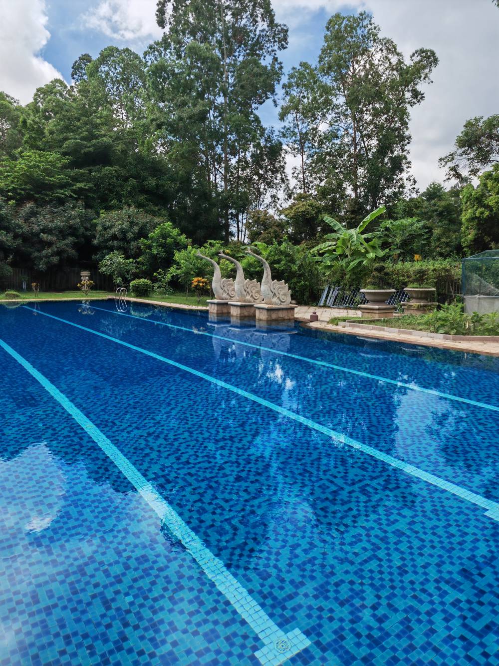 池州别墅游泳池设计工程 室内空气能泳池设备批发