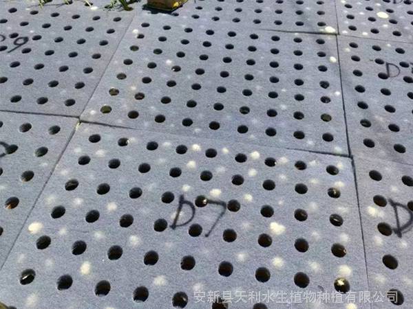 复合纤维浮动湿地,漂浮湿地,净化水质,人工浮床