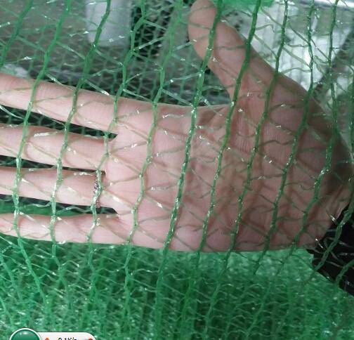 云南省普洱市宁洱哈县盖土网-防尘网