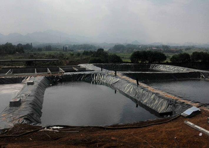 水富县HDPE防渗膜-HDPE土工膜-HDPE防渗土工膜