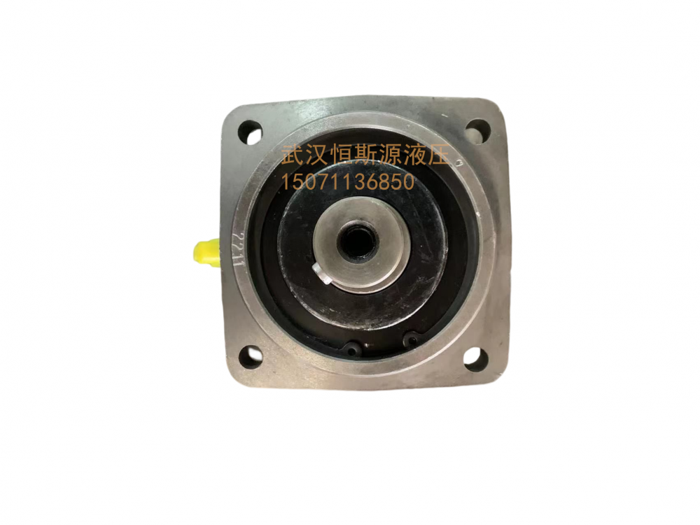 德国Rexroth/力士乐柱塞泵A7V250DR5.1RZF00