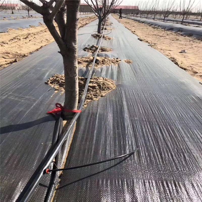 定制 农业灌溉管道 热熔管水管 各规格直管