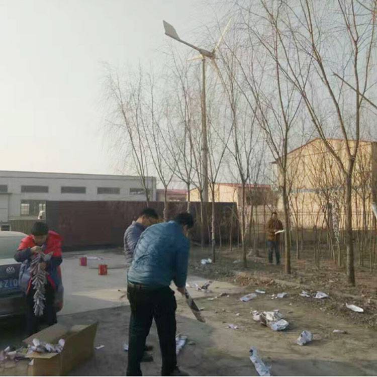 广东紫金30千瓦风力发电机 风能发电机晟成风电