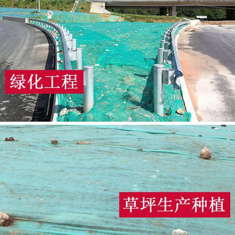 绥江县绿色的养护土工布