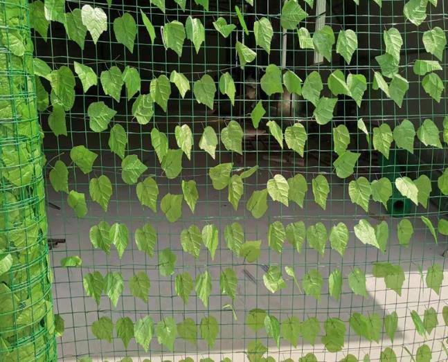 大理白族自治州弥渡县仿真树叶网-绿化树叶网