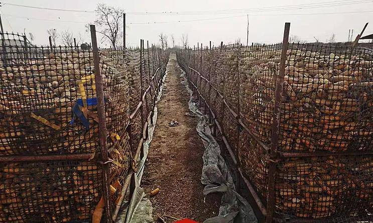 文山州西畴县养殖网-塑料养殖网-养殖养鱼网