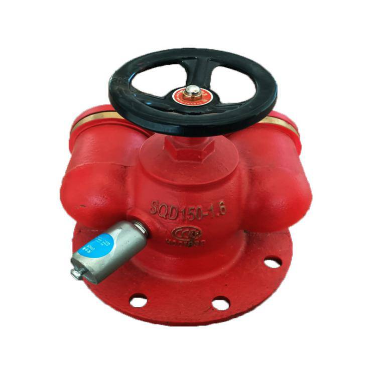 地上式水泵接合器sqd10016a消防水泵接合器dn100多用式消防阀门