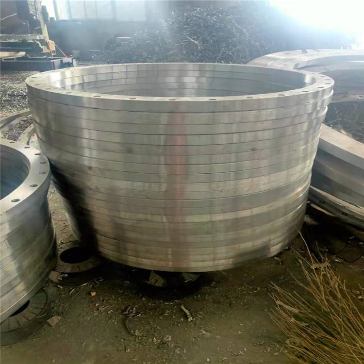 沧州船新管件主营 带颈平焊法兰 304L对焊法兰 货源充足