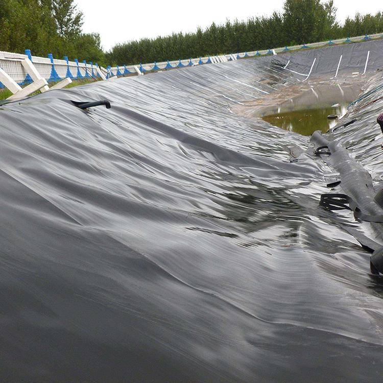 连州蓄排水板厂家-泰东蓄排水板抗压300kpa