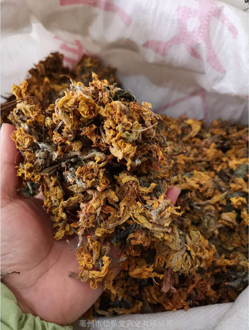 中药材毛老虎价格野生黄牯牛花产地三钱三市场价格