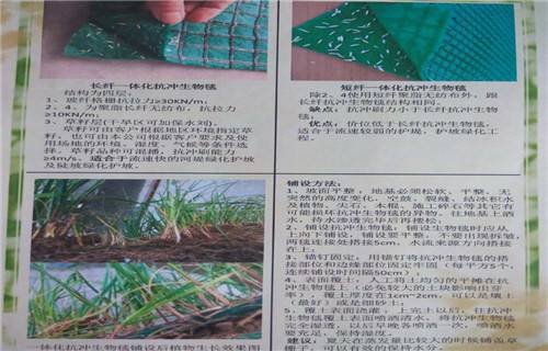 泰安生态袋生产基地-2022已更新