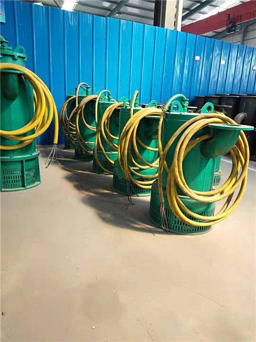 中卫隔爆型排污排沙电泵定制厂家