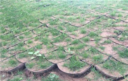 武威HDPE土工格室供应商2022已更新(派送直达)