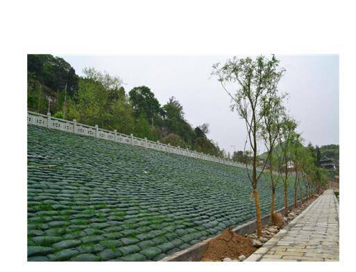 文山壮族苗族自治州麻栗坡县生态袋-河道治理生态袋-边坡治理生态袋