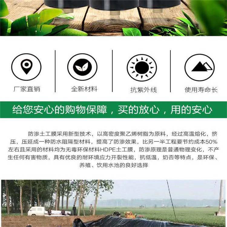 南阳蓄排水板厂家-泰东蓄排水板抗压300kpa