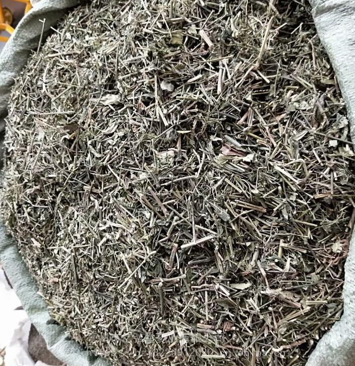 正宗穿心莲榄核莲一见喜斩舌剑苦草苦胆草四方草批发