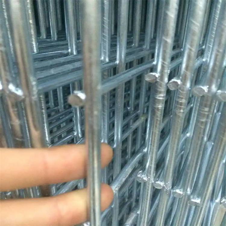 昌吉镀锌网片介绍/乌鲁木齐电焊网厂家/可用作泥浆网