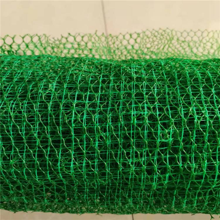 张掖三维植被网厂家(张掖市固土三维植被网垫实业集团)