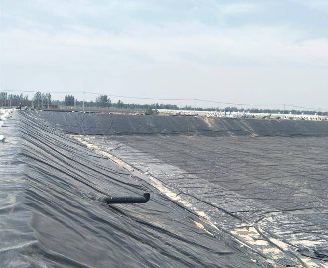 东川区HDPE防渗膜-防渗土工膜-糙面防渗PE膜