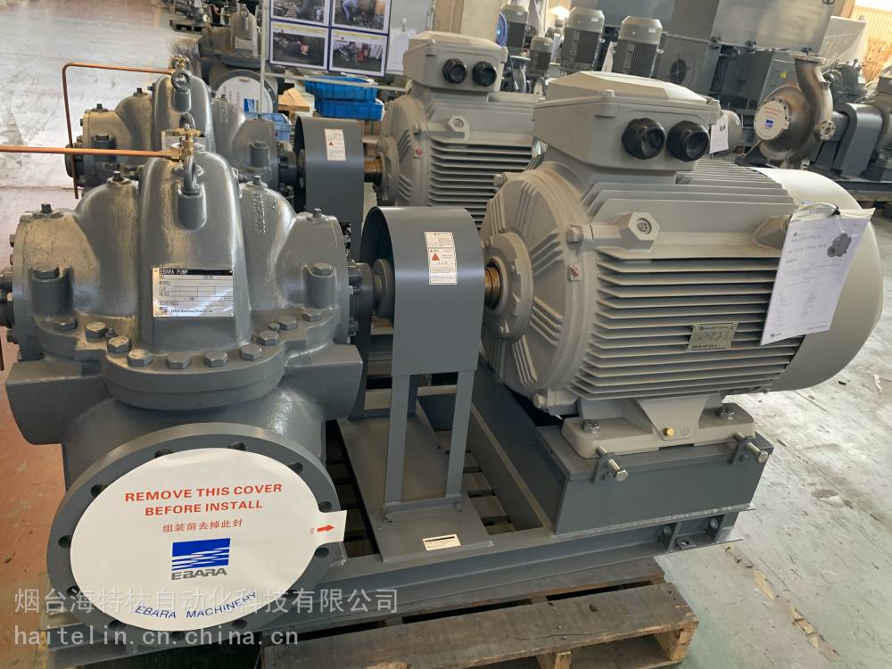 荏原泵200*150fs4lc575h意大利泵日本泵