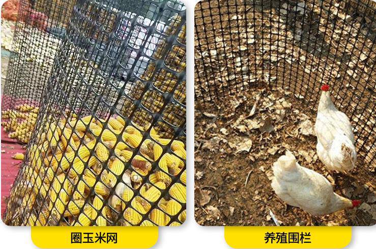 砚山县林下果园养殖网种植网-鱼塘鸡鸭鹅养殖网-市政园林围栏网