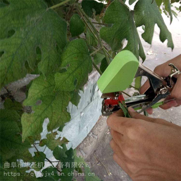 胶带捆绑番茄绑枝机西红柿绑蔓器葡萄捆扎机