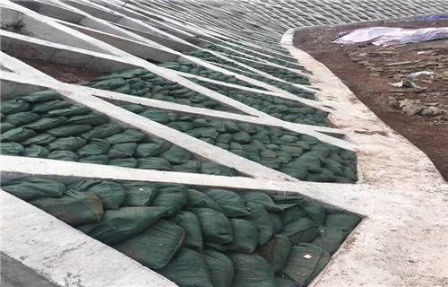 海西聚酯长丝生态袋供应商2022已更新(派送直达)