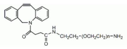 二苯基环辛炔聚乙二醇氨基