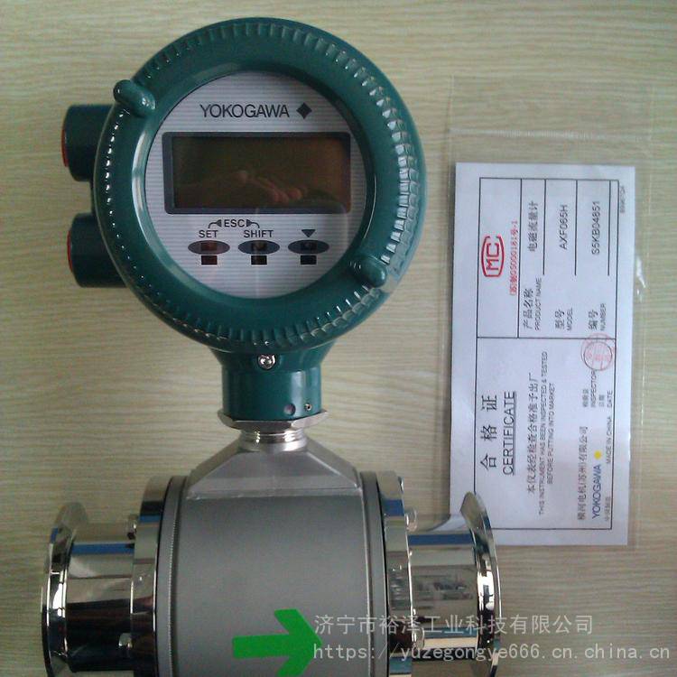 横河电磁涡街流量计器川仪日本电机DYSESFAXWAXFAX