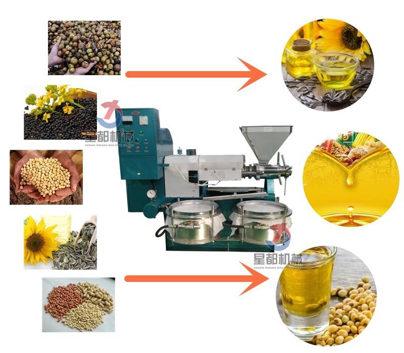 全自动高出油率榨油机60型单相电可车载榨油机山茶油榨油机选星都