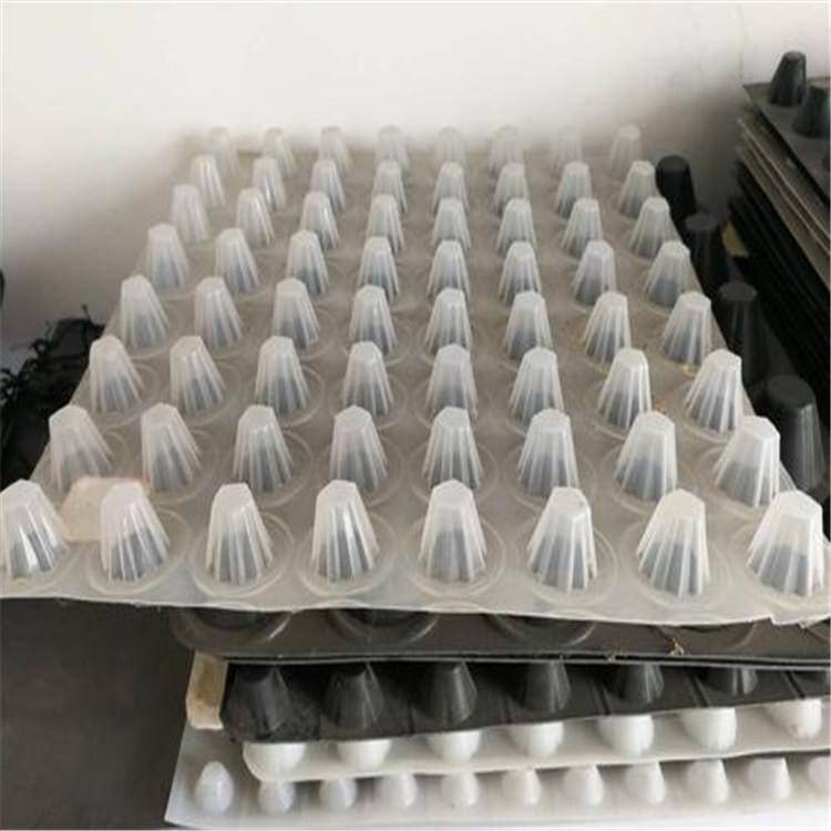 阿勒泰蓄排水板厂家-泰东蓄排水板抗压300kpa