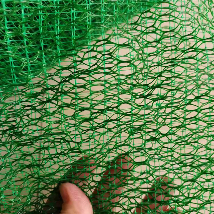 广东三维植被网厂家(广东省护坡三维植被网垫实业集团)