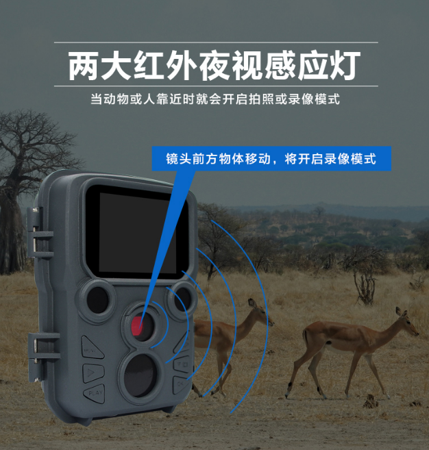 am-mini是一款迷你型红外感应触发相机,采用热释电红外感应技术(感应