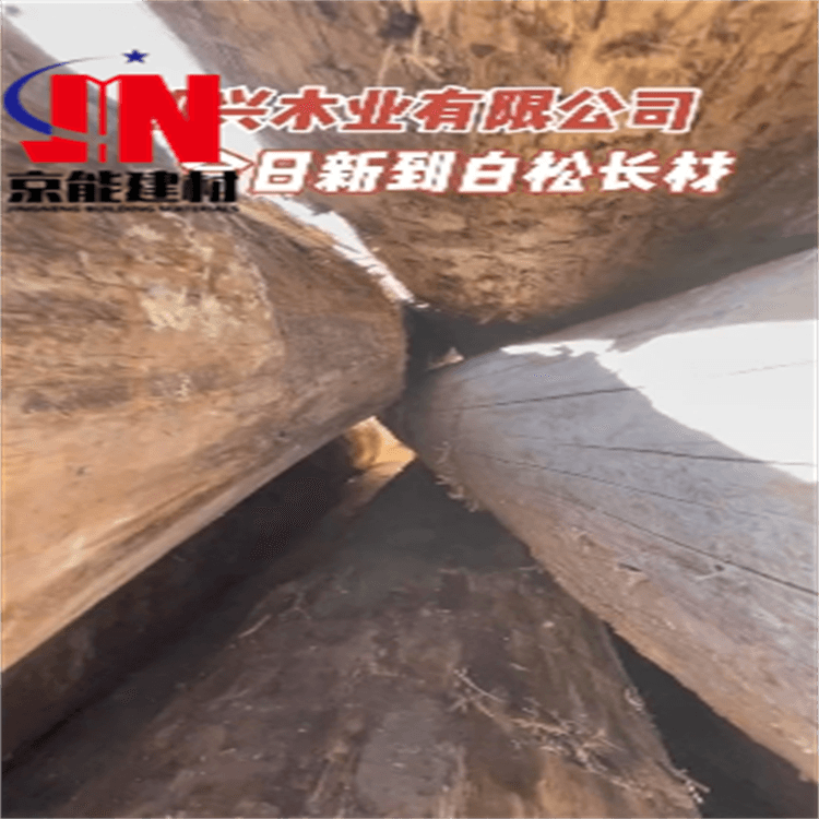 天津北辰高规格抛光木材市场樟松京能建材