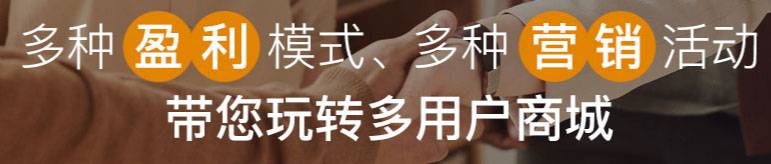 大型企业利用这一机会积极建立了商城网站插图11 大型企业利用这一机会积极建立了商城网站插图11