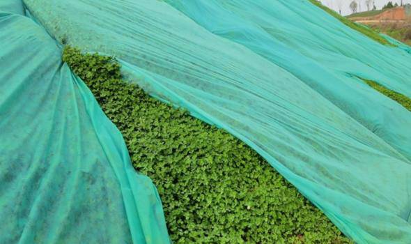 云南省州泸西县工地盖土用无纺土工布