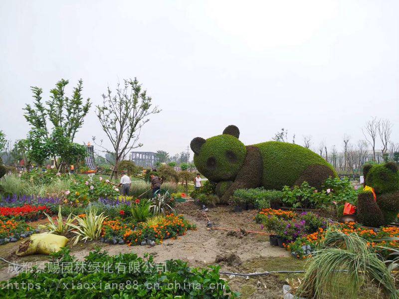 湖北荆州绿雕施工方案 ,熊猫造型绿雕植物绿雕造型批发