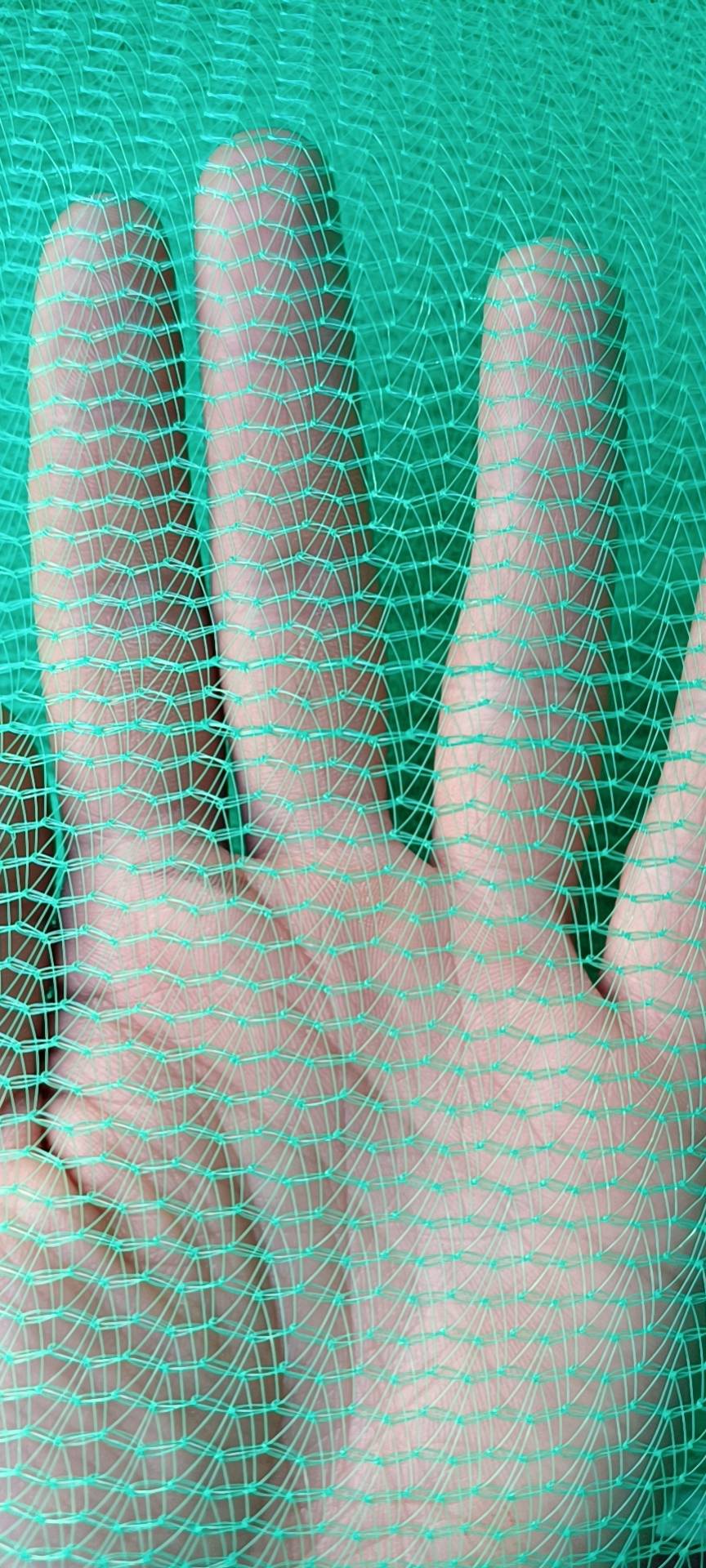 保山市昌宁县安-6X1.8米密目网-密目式安