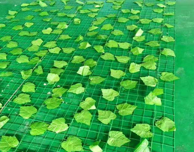 云南省昆明市宜良县树叶网绿叶网-山坡防滑坡树叶网