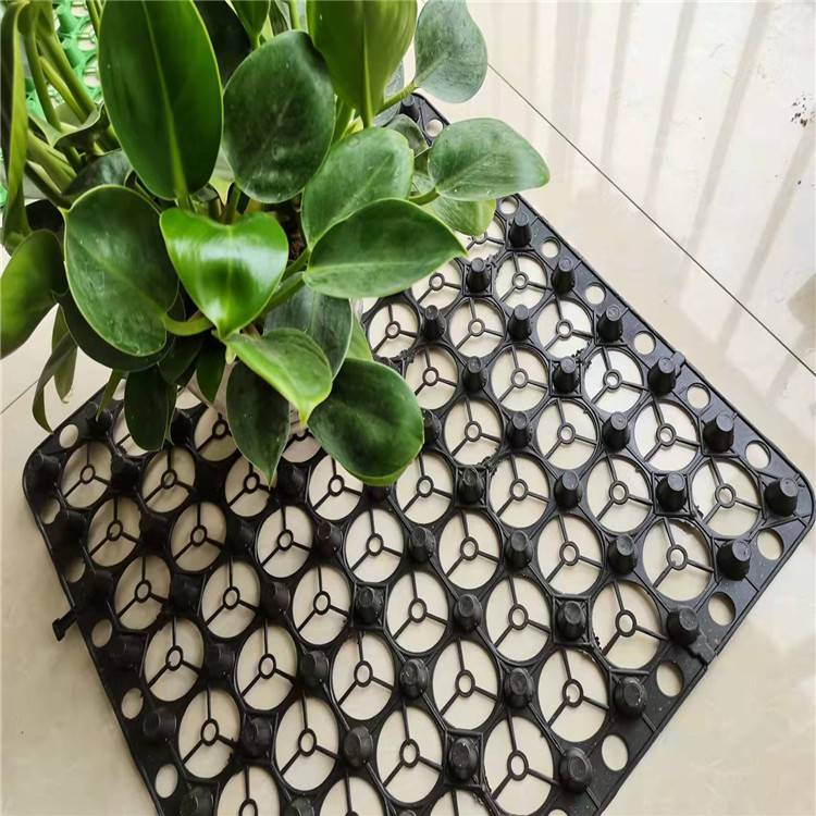 欢迎访问//蓄排水板厂家苏州/苏州市实业集团