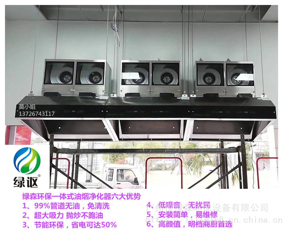 餐饮不锈钢烟罩式油烟净化一体机一体式油烟净化器绿森油烟净化器