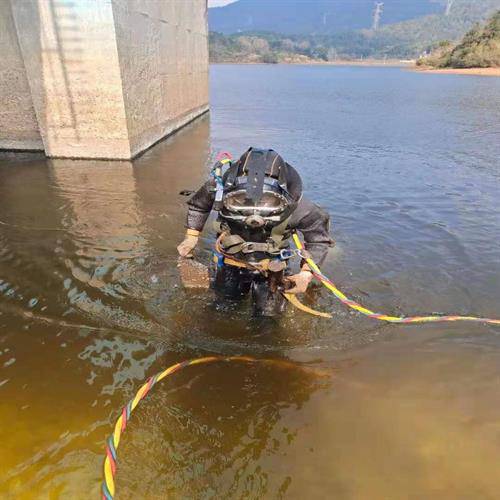 濮阳桥梁桩基水下检测-本地蛙人水下服务已更新