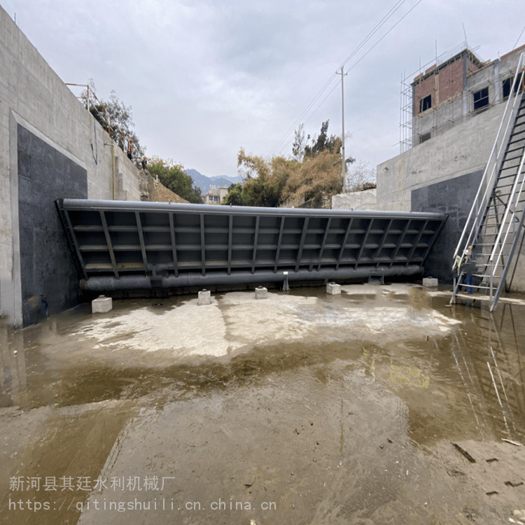 其廷钢坝闸门河道钢坝闸