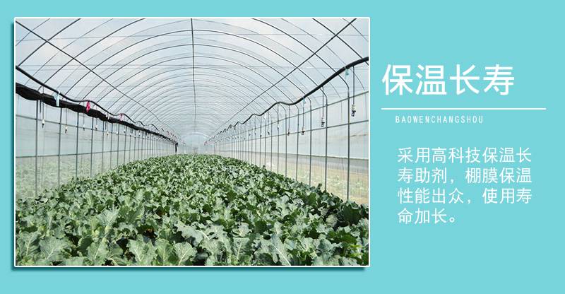 塑料农膜塑料棚膜卡高鹏可订做蓝色透光大棚膜